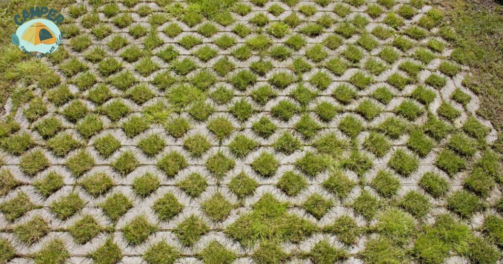 What Are Permeable Pavers?